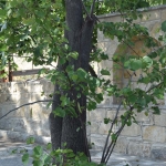 petrynes_vryses_4